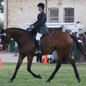 Meet your Posher, Heather